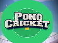 Lojë Pong Cricket