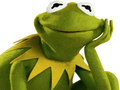 Lojë Coloring Book For Kermit the Frog 