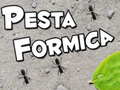 Lojë Pesta Formica
