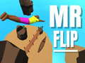 Lojë Mr Flip
