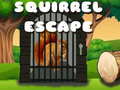 Lojë Squirrel Escape