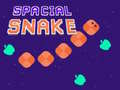 Lojë Spacial Snake