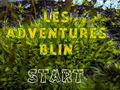 Lojë Les Adventures Blin