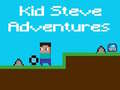 Lojë Kid Steve Adventures