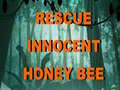 Lojë Rescue Innocent Honey Bee 