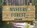Lojë Mystery Forest