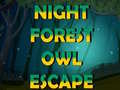 Lojë Night Forest Owl Escape