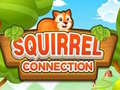Lojë Squirrel Connection
