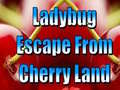 Lojë Ladybug Escape From Cherry Land