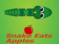 Lojë Snake Eats Apple
