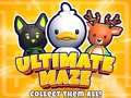 Lojë Ultimate Maze! Collect Them All!
