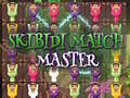 Lojë Skibidi Match Master