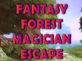 Lojë Fantasy Forest Magician Escape