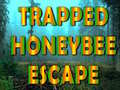 Lojë Trapped Honeybee Escape