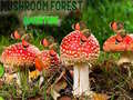 Lojë Mushroom Forest Adventure