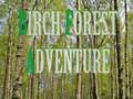 Lojë Birch Forest Adventure