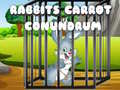 Lojë Rabbits Carrot Conundrum