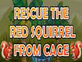 Lojë Rescue The Red Squirrel From Cage