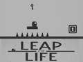 Lojë Leap of Life
