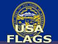 Lojë Usa Flags 