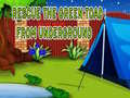 Lojë Rescue The Green Toad From Underground