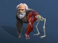 Lojë Idle Evolution From Cell To Human