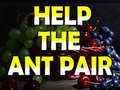 Lojë Help The Ant Pair