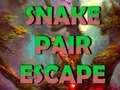 Lojë Snake Pair Escape