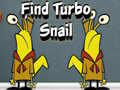 Lojë Find Turbo Snail