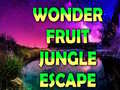 Lojë Wonder Fruit Jungle Escape