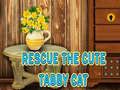 Lojë Rescue The Cute Tabby Cat