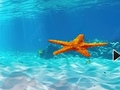 Lojë Escape From Underwater Starfish