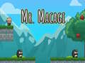 Lojë Mr Macagi