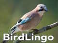 Lojë BirdLingo