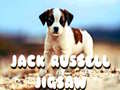Lojë Jack Russell Jigsaw