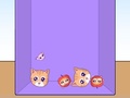 Lojë Evolution of Cat Memes