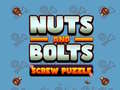 Lojë Nuts and Bolts Screw Puzzle
