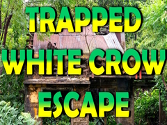 Lojë Trapped White Crow Escape