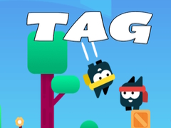 Lojë Tag