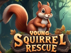Lojë Young Squirrel Rescue