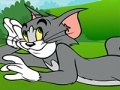 Lojë Tom and Jerry ATV Adventure
