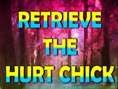 Lojë Retrieve The Hurt Chick