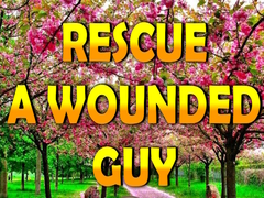 Lojë Rescue A Wounded Guy