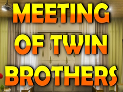 Lojë Wow Meeting of Twin Brothers