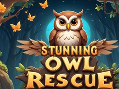 Lojë Stunning Owl Rescue