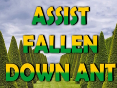 Lojë  Assist Fallen Down Ant