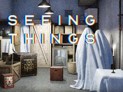Lojë Seeing Things