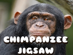 Lojë Chimpanzee Jigsaw