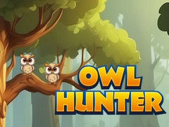 Lojë Owl Hunter