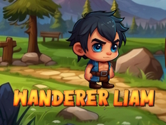 Lojë Wanderer Liam